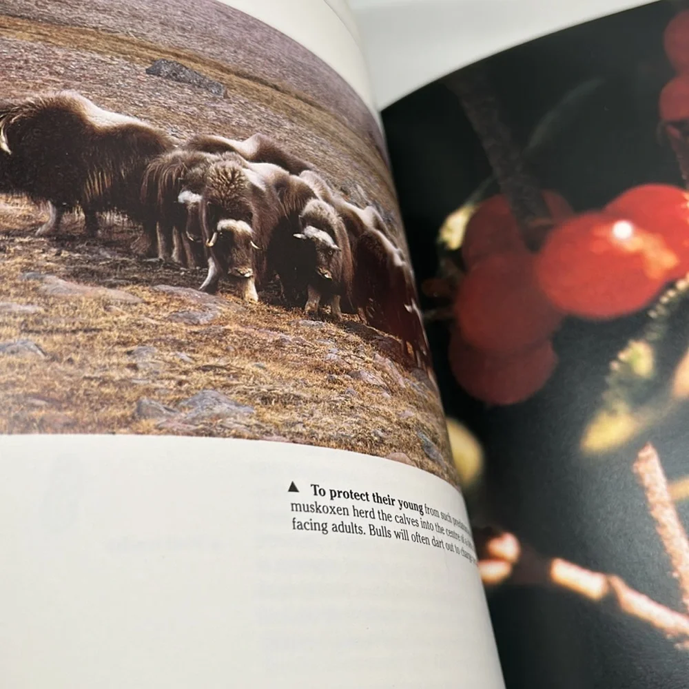 The Natural History of Canada by R.D. Lawrence Vintage Hardcover 1988 Edition - Picture 15 of 16